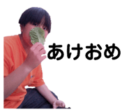 738881336