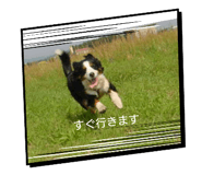 738900076