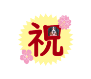 738900079
