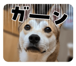 738923207