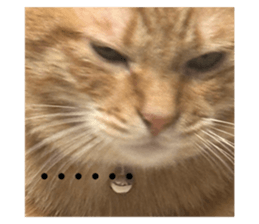738933698
