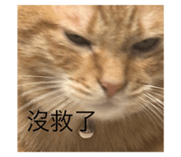 738933703