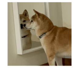 738939836