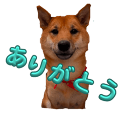 738951281