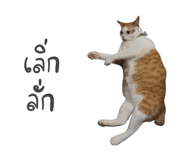 738952243