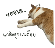738952244