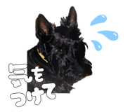 738955261