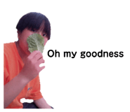 738970381