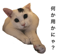 738971962