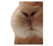 738980111