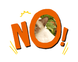 738980917