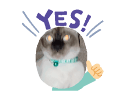 738980918