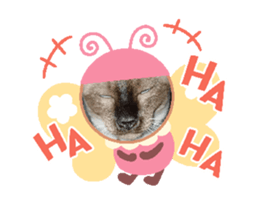 738980923