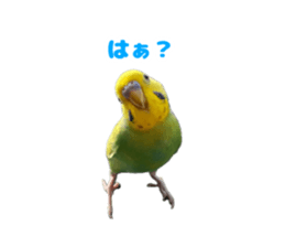 738989173