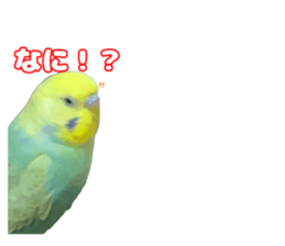 738989175