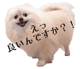739003030