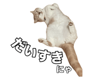 739003171