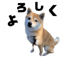 739008156