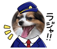739014155