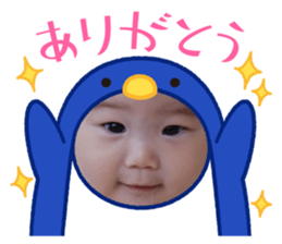 739055594