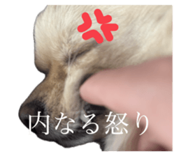 739133351