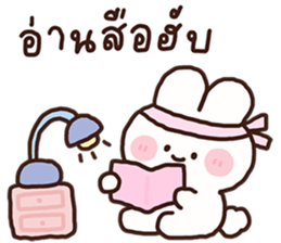 ลายที่ 17