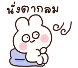 ลายที่ 31