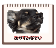 739163048