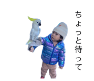 739219371