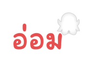 739287300