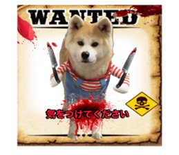 739288146