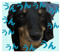 739291243