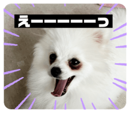 739296815