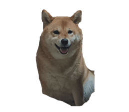 739303020