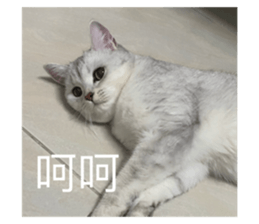 739310833