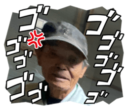 739313556