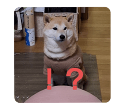 739315279