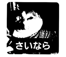 739315280
