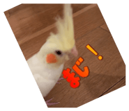739316938