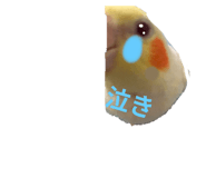 739316940