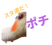 739316943