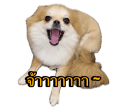 739336656