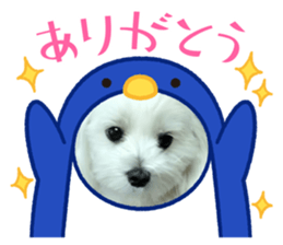 739340813