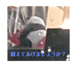 739347793