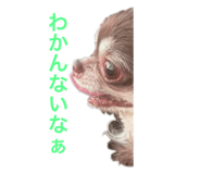 739352089