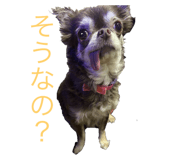 739352091