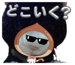 739412571