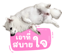 739445240