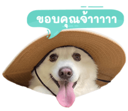 739445252