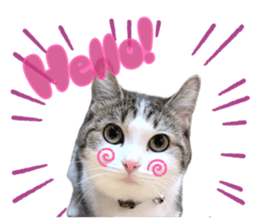 739454749